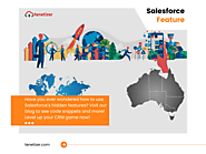 Unlock Salesforce's Hidden Power: Accessing Country & State Picklists Made Easy | Tenetizer