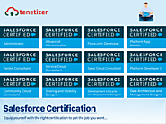 Website at https://tenetizer.com/unleashing-ai-and-data-proficiency-with-salesforce-certifications