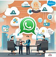 Elevating Sales and Support - Salesforce WhatsApp Integration Case Study | Tenetizer Technologies