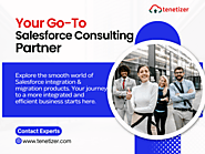 #1 Salesforce CRM Consulting Partner Services Firm | Tenetizer Technologies