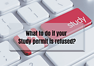 What to do if your Study permit is refused ?