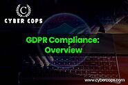 Cyber Cops: Navigating GDPR Compliance for Data Protection