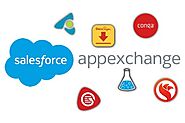 Salesforce AppExchange Development Company in India