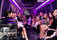 Party Like a Rockstar: Hire a Party Bus in Boca Raton and South Florida - NEWS BOX OFFICE