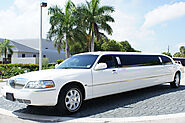 Tampa airport limousine