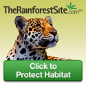 Protect -Endangered Animals- with a free click!