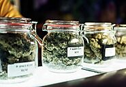 Reasons Behind The Rise of Philadelphia Marijuana Dispensaries – Madical Marijuana Benefits