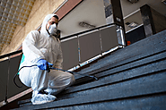 The Importance of Choosing the Right Asbestos Removal Company