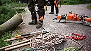 TC Tree Cutting - Trimming - Felling - Removal - Auckland