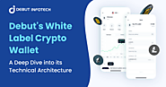 Debut’s White Label Crypto Wallet – An All-Inclusive Guide