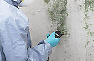 Top Traits To Look For In Professional Mould Specialist Melbourne