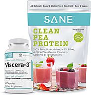 SANE Viscera 3 Postbiotics with Sane Raw Pea Protein