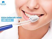 10 Cách chăm sóc răng miệng hiệu quả dành cho mọi đối tượng