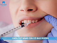 Website at https://nhakhoashark.vn/chua-tuy-rang-cua/