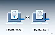 Digital Certificate vs Digital Signature: 10 Key Differences