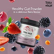 Achieving a Healthy Gut with Terra Origin and Beyond: Nurturing Your Body's Foundation: terraoriginshop — LiveJournal