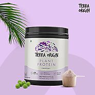 Plant Based Protein Powder for Weight Gain: Boosting Muscle Mass with Terra Origin.