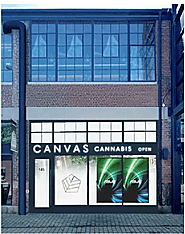 Best Pot Shop in Liberty Village