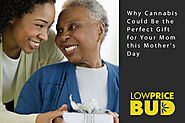 Why Cannabis Could Be the Perfect Gift for Your Mom this Mother's Day - Low Price Bud