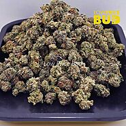 Indica Collection - Affordable Cannabis Strains | Low Price Bud
