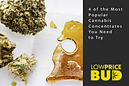 4 of the Most Popular Cannabis Concentrates You Need to Try - Low Price Bud