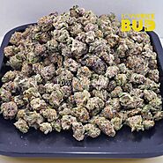 Discover the Best Sativa Strains Online in Canada at Low Price Bud