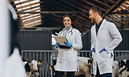 Things To Keep In Mind When Choosing A Veterinary Clinical Trial