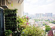 What Is Balcony Gardening? - High Rise Horticulture