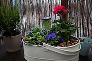 10 Tips For Balcony Gardening On A Budget - High Rise Horticulture
