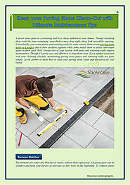 Keep your Paving Stone Clean-Cut with Ultimate Maintenance Tips