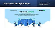 Business Website Hosting- A Competitive Edge in the Digital Age