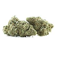 Buy Bud Online: Cannabis In Canada