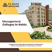 Management Colleges In Noida