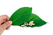 Unveiling What Is Gold Kratom