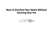 How to Disinfect Your Home Without Harming Your Pet