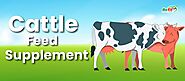 Cattle Products - Feed Supplements for Cow, Buffalo & Livestock