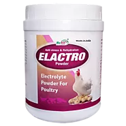 Electrolyte Powder for Poultry