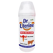 Veterinary Uterine Tonic For Cattle