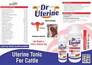 Veterinary Uterine Tonic For Cow