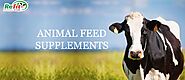 Animal Feed Supplements in India