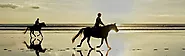 Horse Riding on the Beach