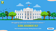 Best Assignment Writing Service in the USA