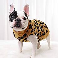 The Ultimate Guide to Top 10 Warm and Stylish Dog Sweaters 2023 - PawsRating