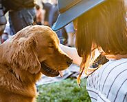 Top 7 Comprehensive Pet Insurance Plans: Maximum Coverage for Your Furry Friend - PawsRating