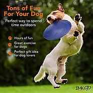 Top 10 Dog Frisbees: Ultimate Guide to the Best Options for Active Pups 2023 - PawsRating