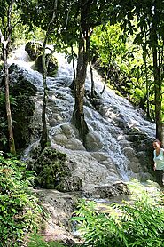 Chiang Mai: Sticky Waterfall