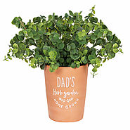 Dad’s Garden Terracotta Plant Pot