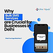 Why Bulk SMS Services are Crucial for Businesses in Delhi - SHREE TRIPADA