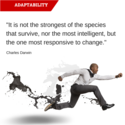Charles Darwin on Adaptability