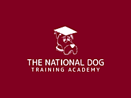 How to become a dog trainer